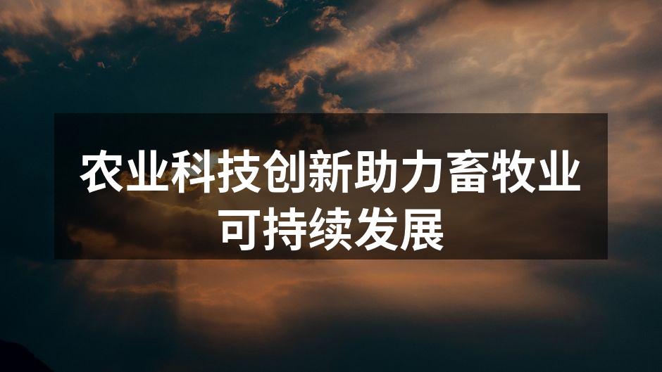 现代化养殖场的全景